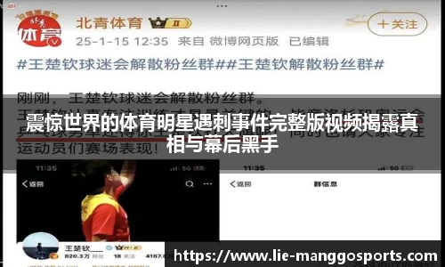震惊世界的体育明星遇刺事件完整版视频揭露真相与幕后黑手