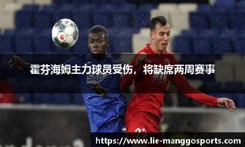 芒果体育官网入口